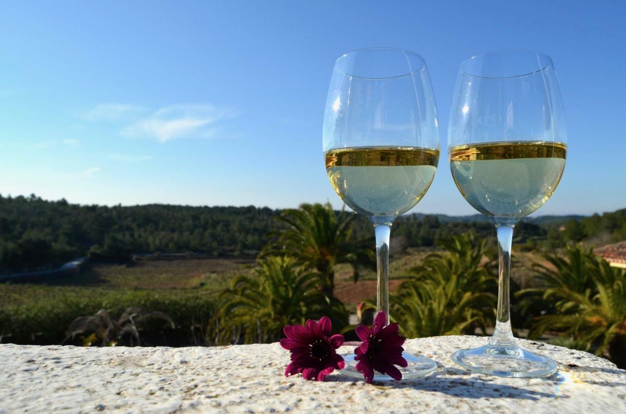 Mas Boronat Resort サルモー エクステリア 写真